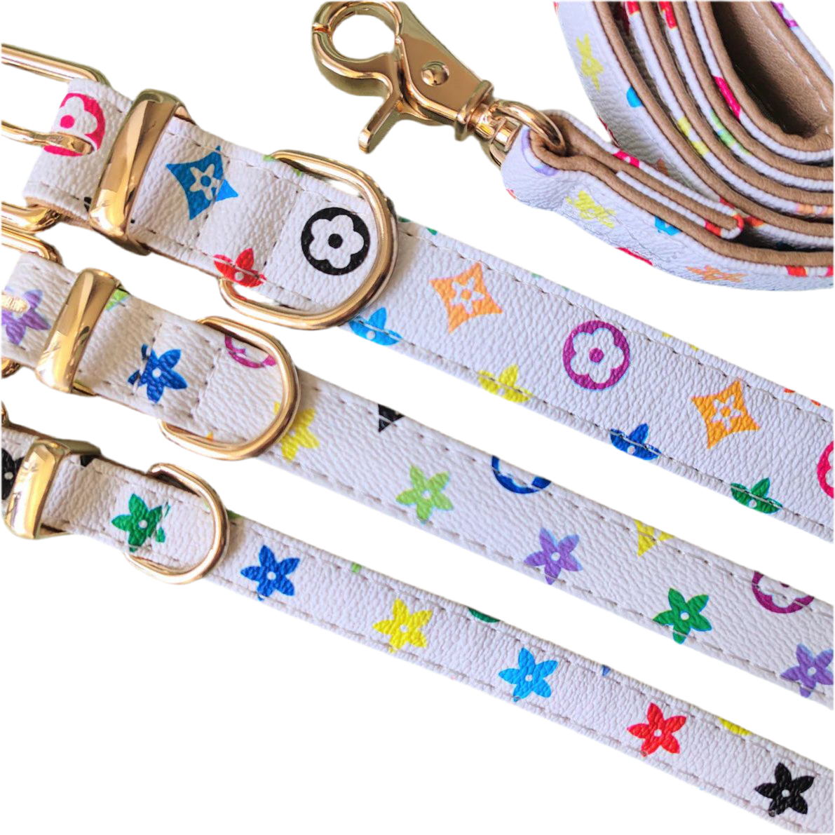 Luxurious Collar and leash mix