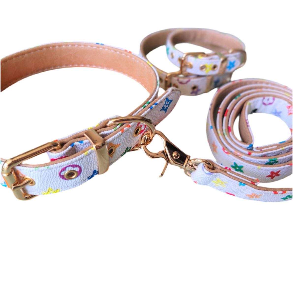 Luxurious Collar and leash mix