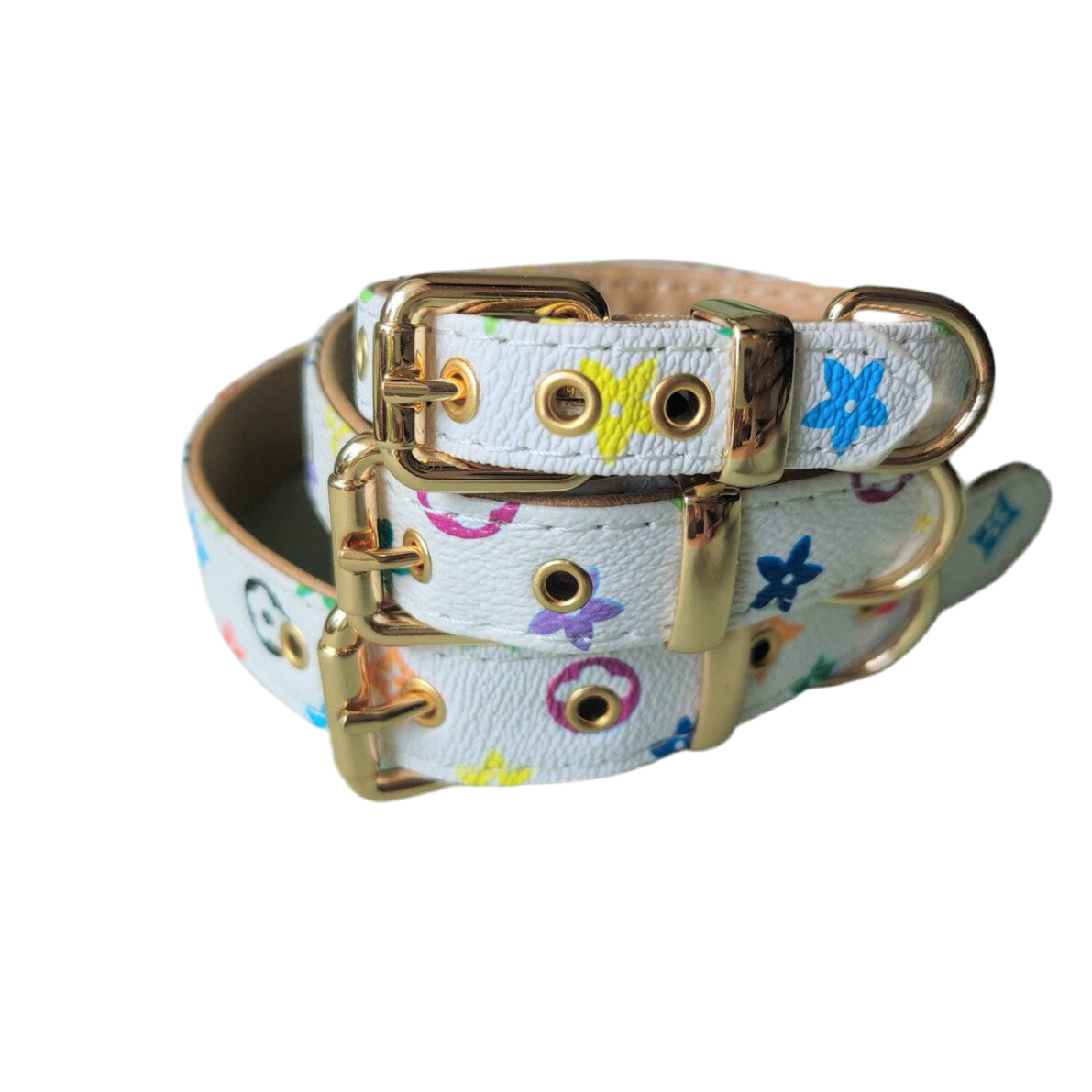 Luxurious Collar and leash mix