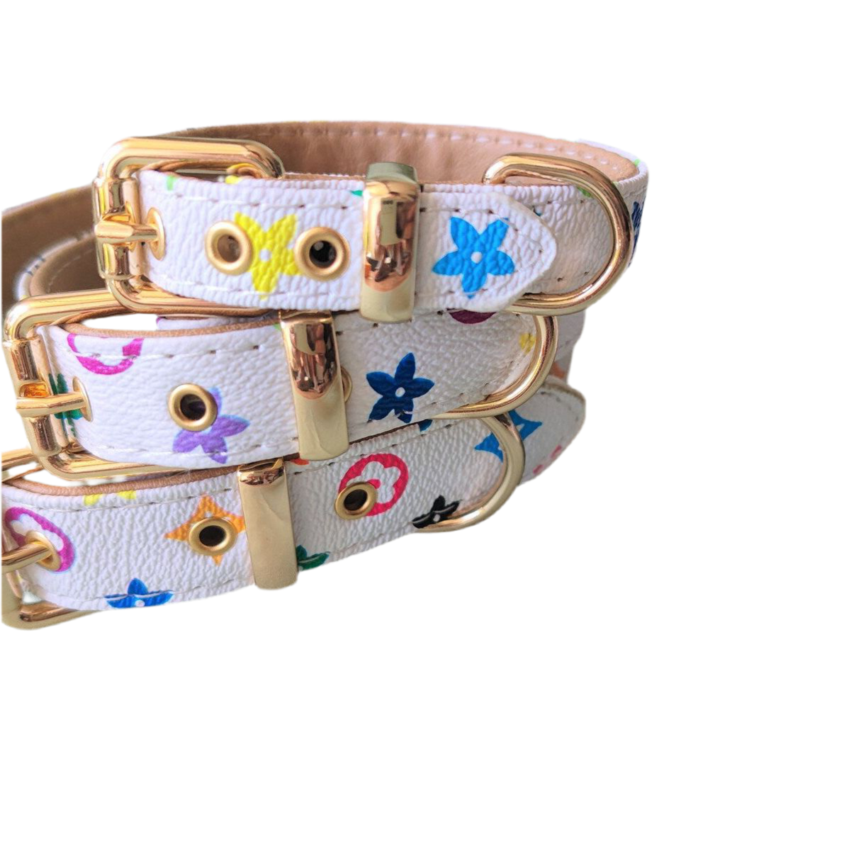 Luxurious Collar and leash mix