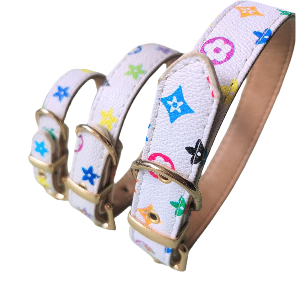 Luxurious Collar and leash mix