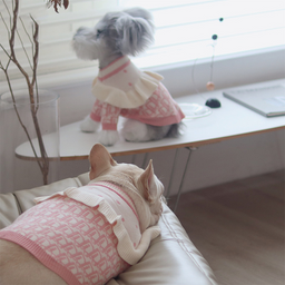 Dogior Sweater