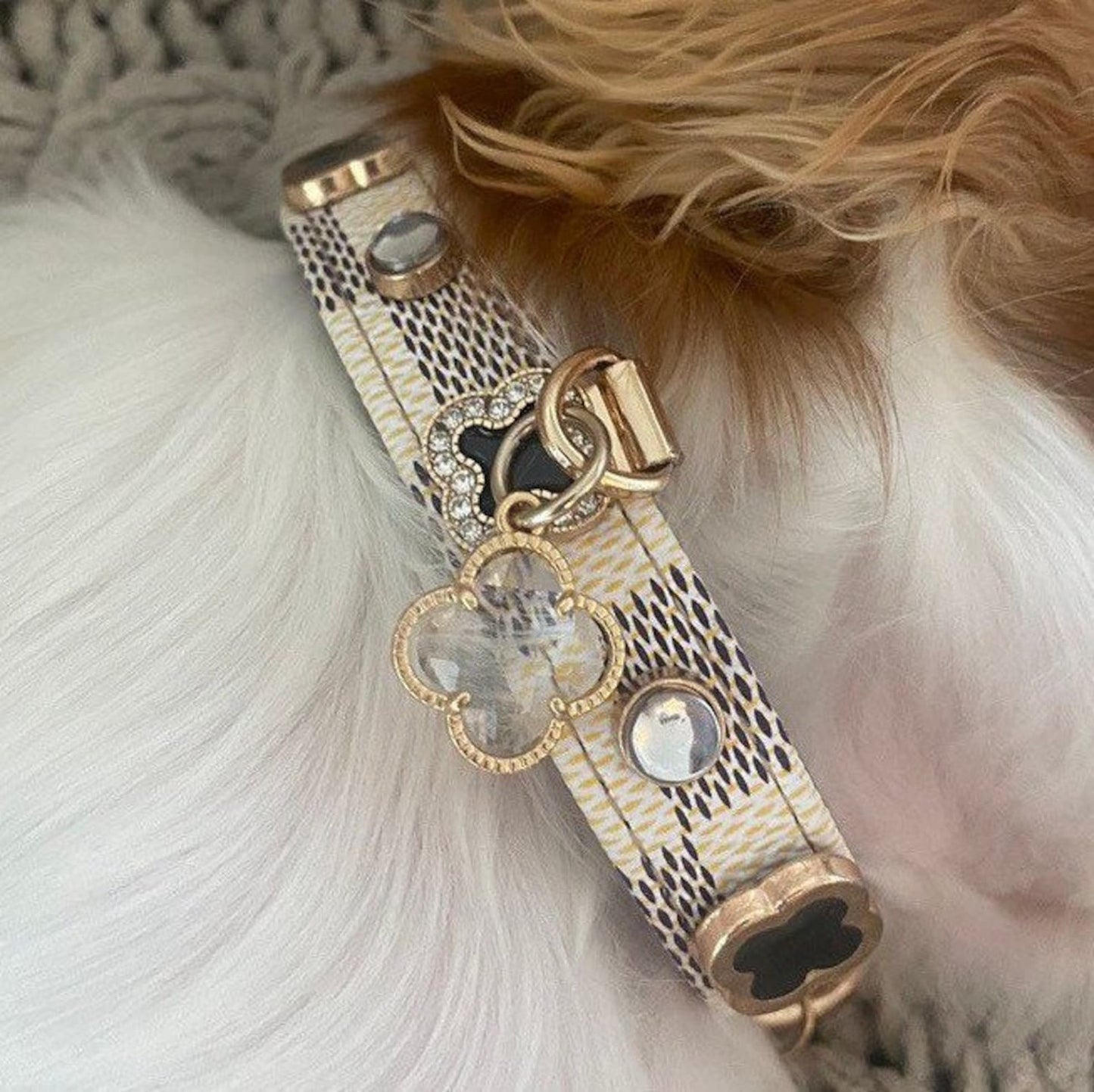 Luxurious collar soft