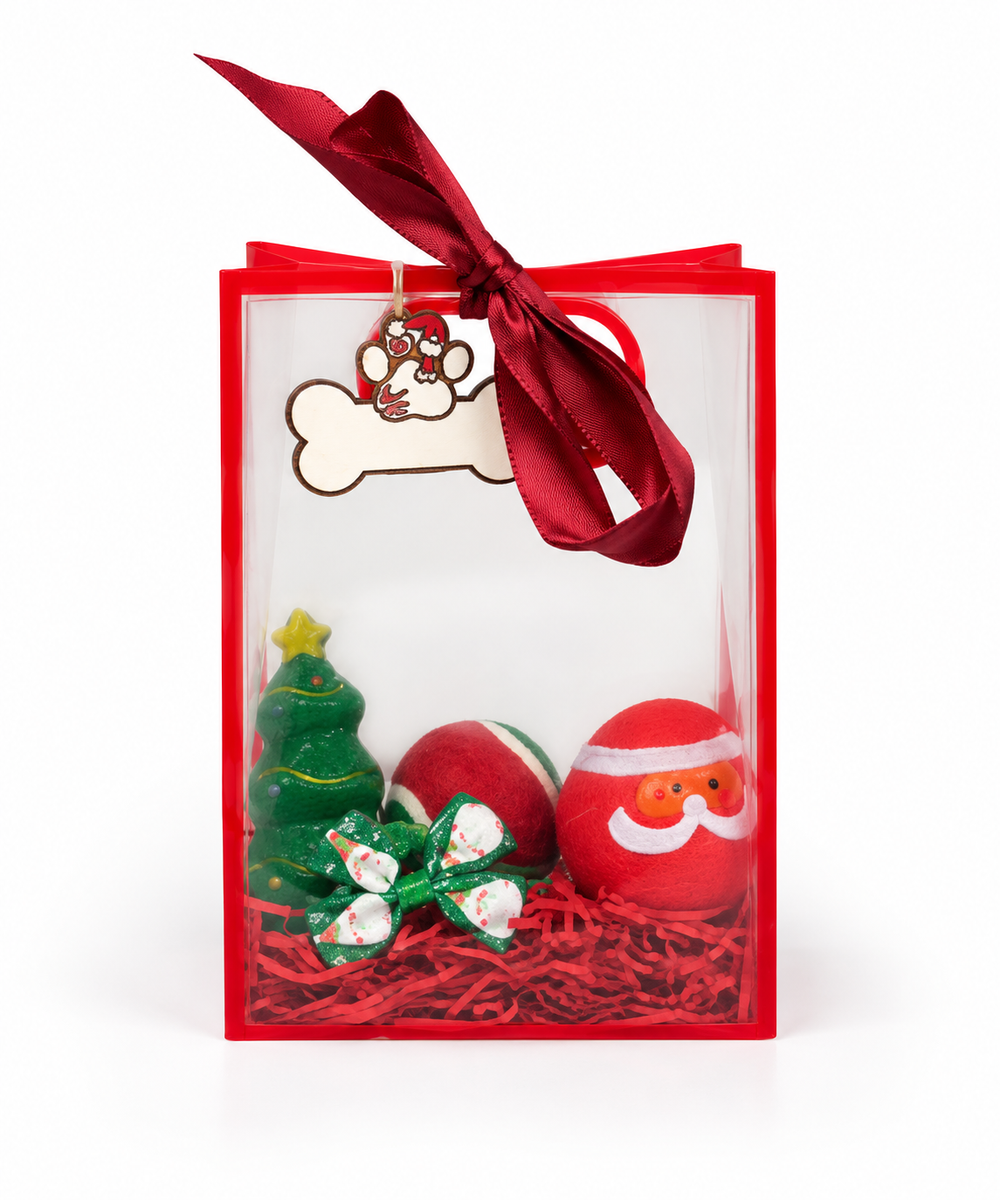Cadeau tasje kerst