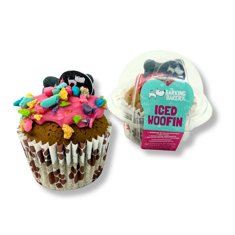 The barking bakery Iced woofin
