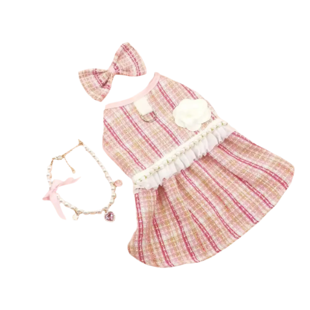 Dress for small dogs