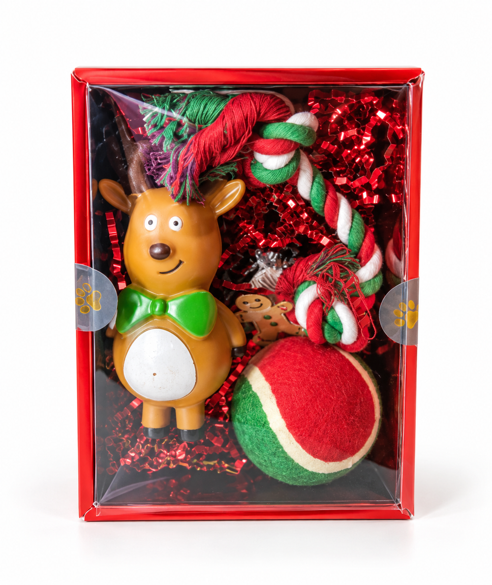 Kerst Box 2