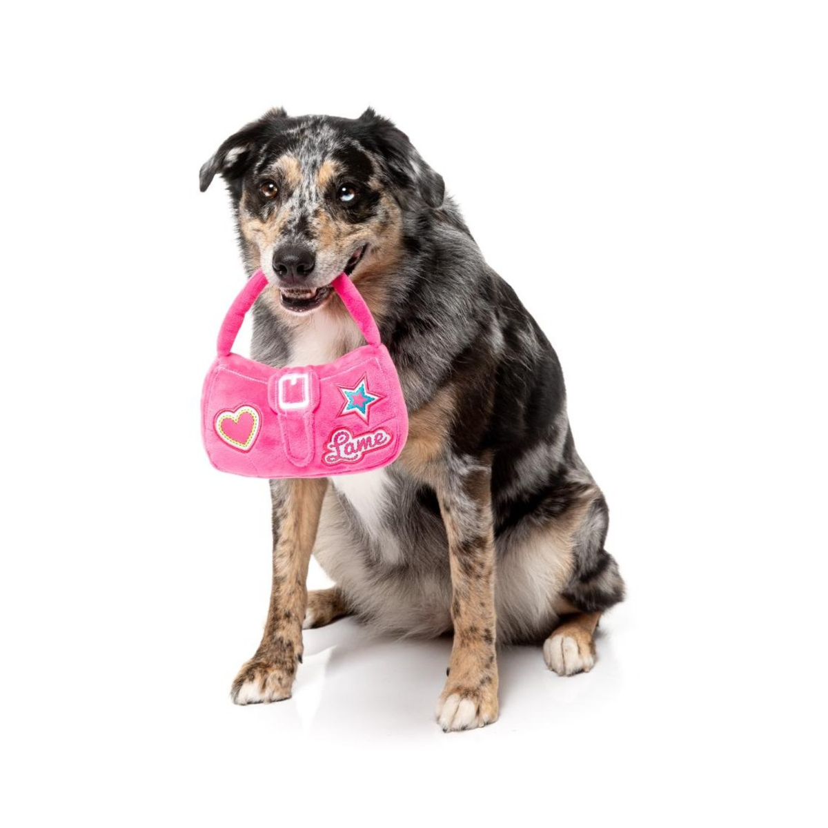 Bag dog toy fuzzyard