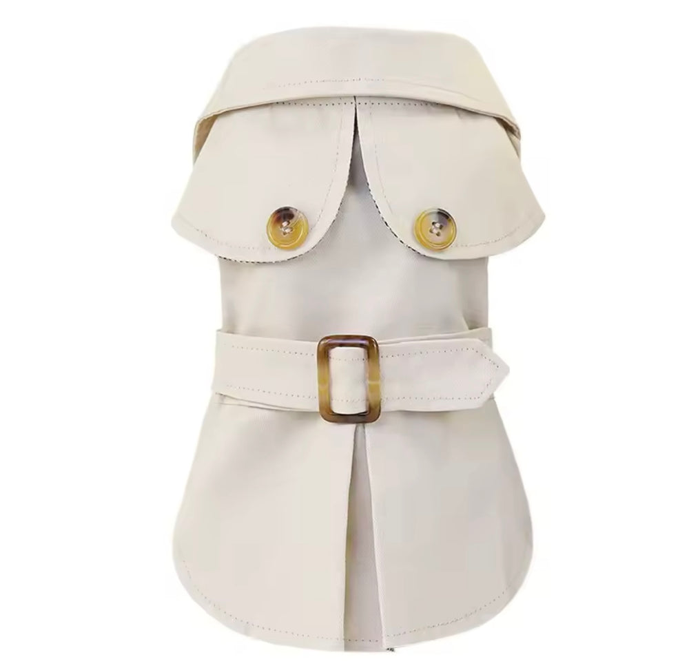 Dog trenchcoat