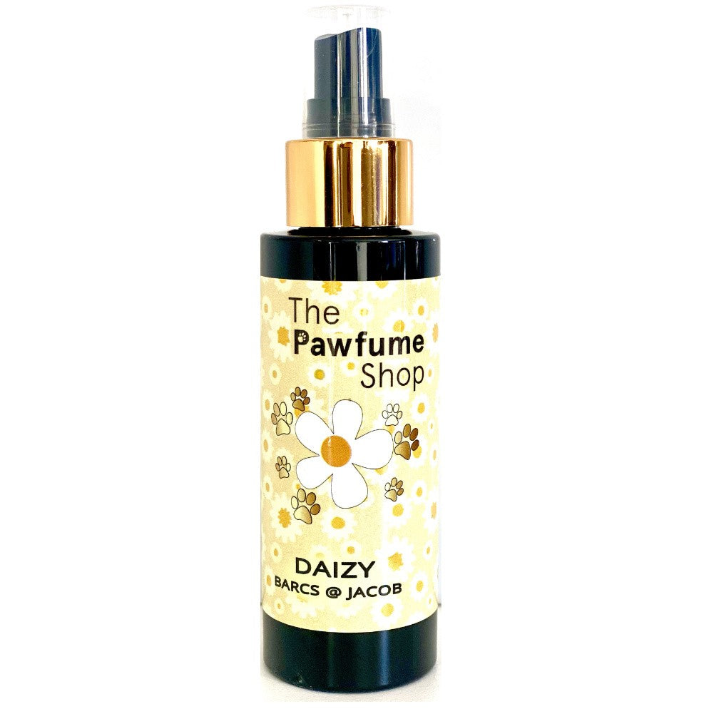 Perfume Daizy Barcs @ Jacob