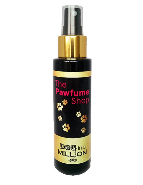 Parfume Dog in a Million