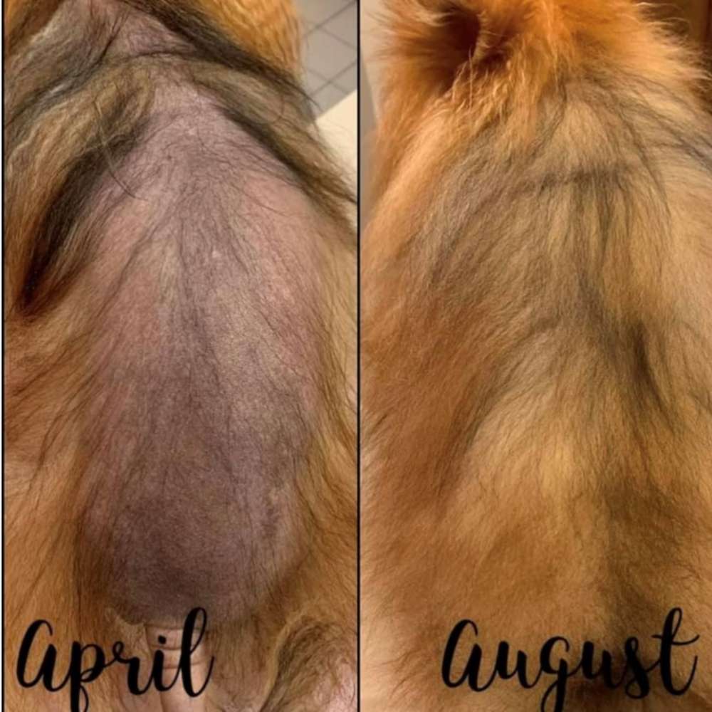 Dermagic BSD/ALOPECIA package