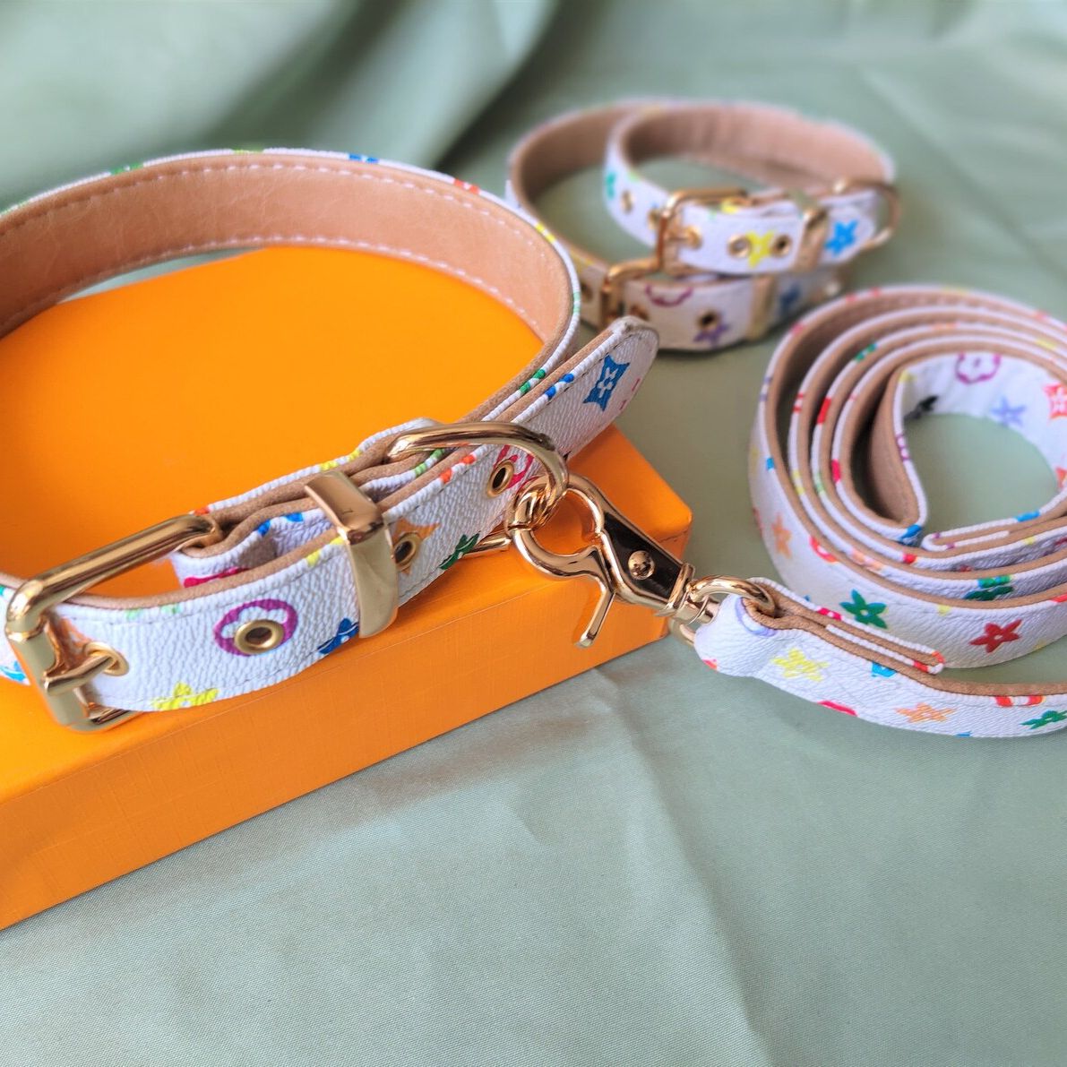 Luxurious Collar and leash mix
