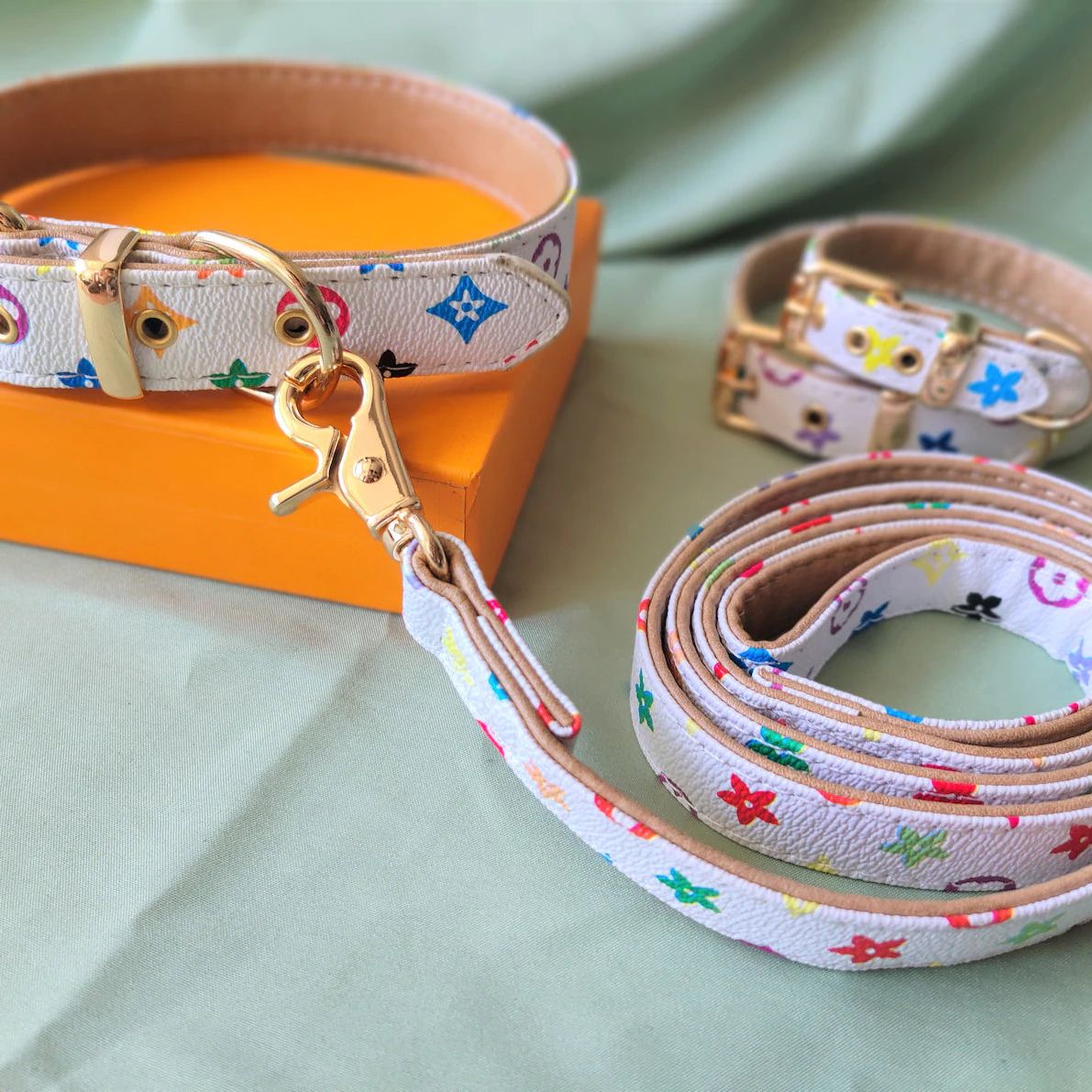 Luxurious Collar and leash mix
