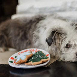 Merry Xmass - Xmas eve Cookies