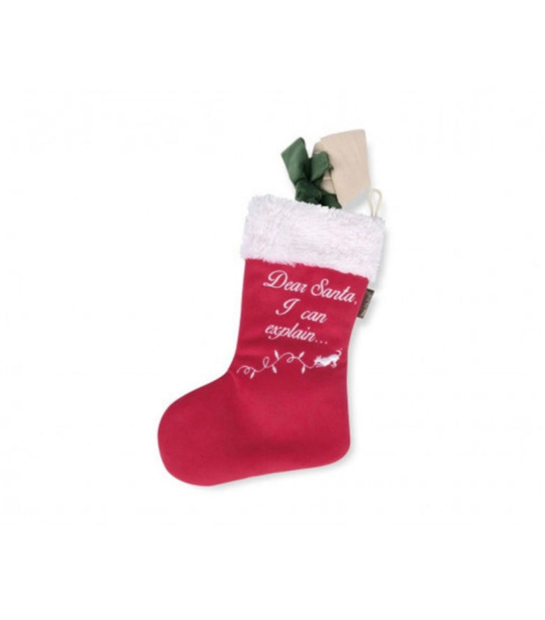 Santa Sock Toy