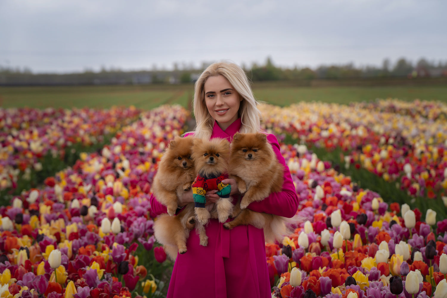 Romy de Wolf with her three Pomeranians